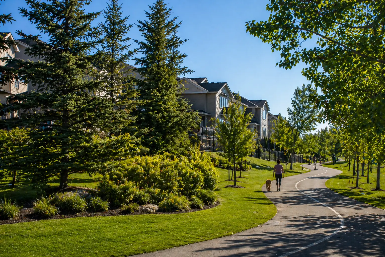 Who is the Best Realtor in Evergreen, AB?